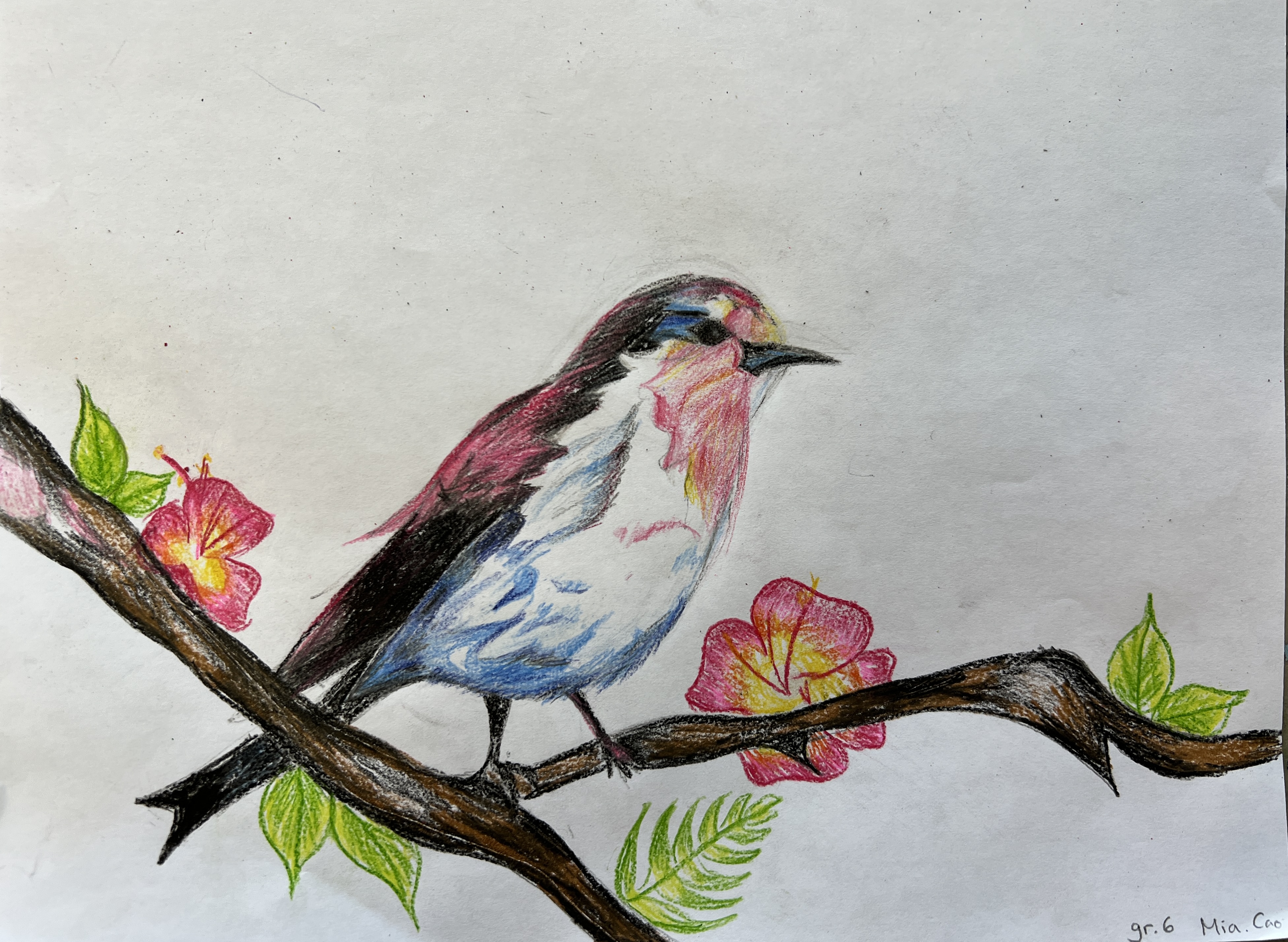 A colored pencil drawing of a bird perched on a flowering branch