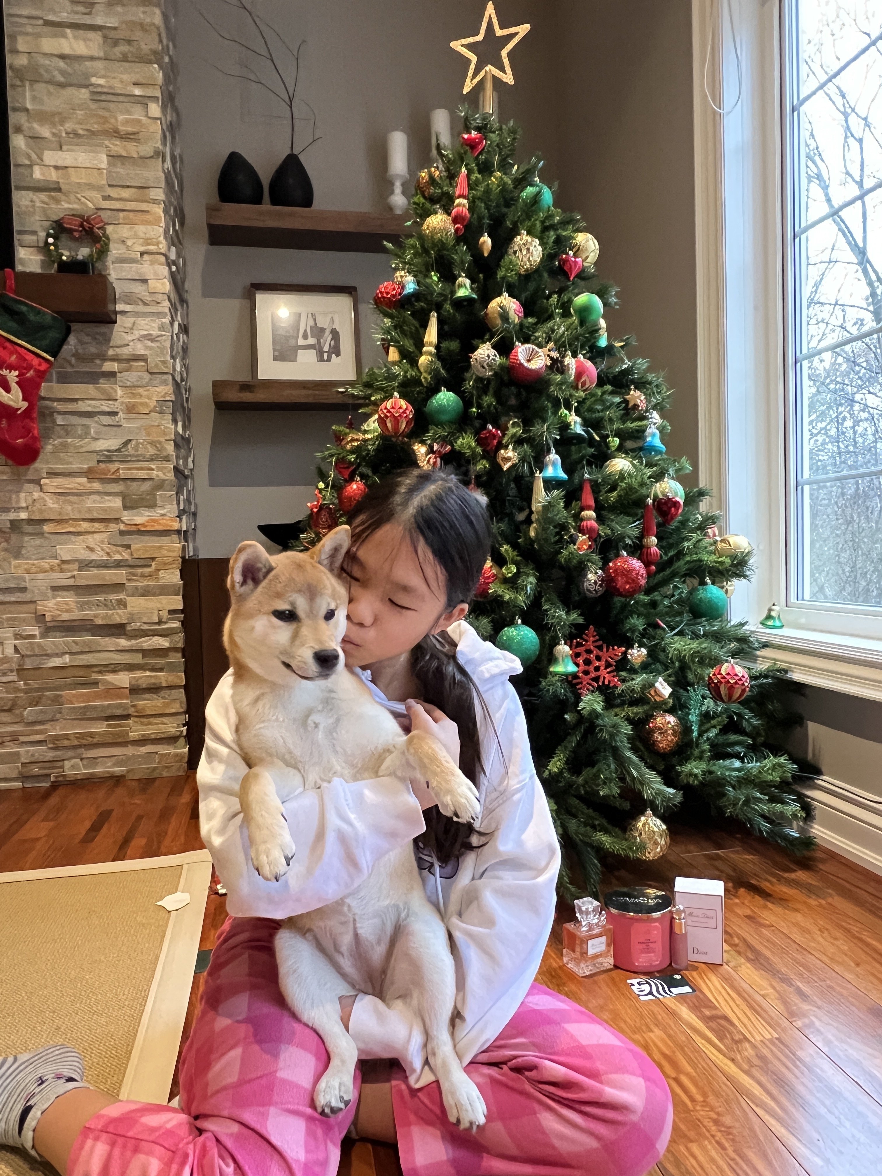 Mia cuddling her Shiba Inu puppy in front of a decorated Christmas tree