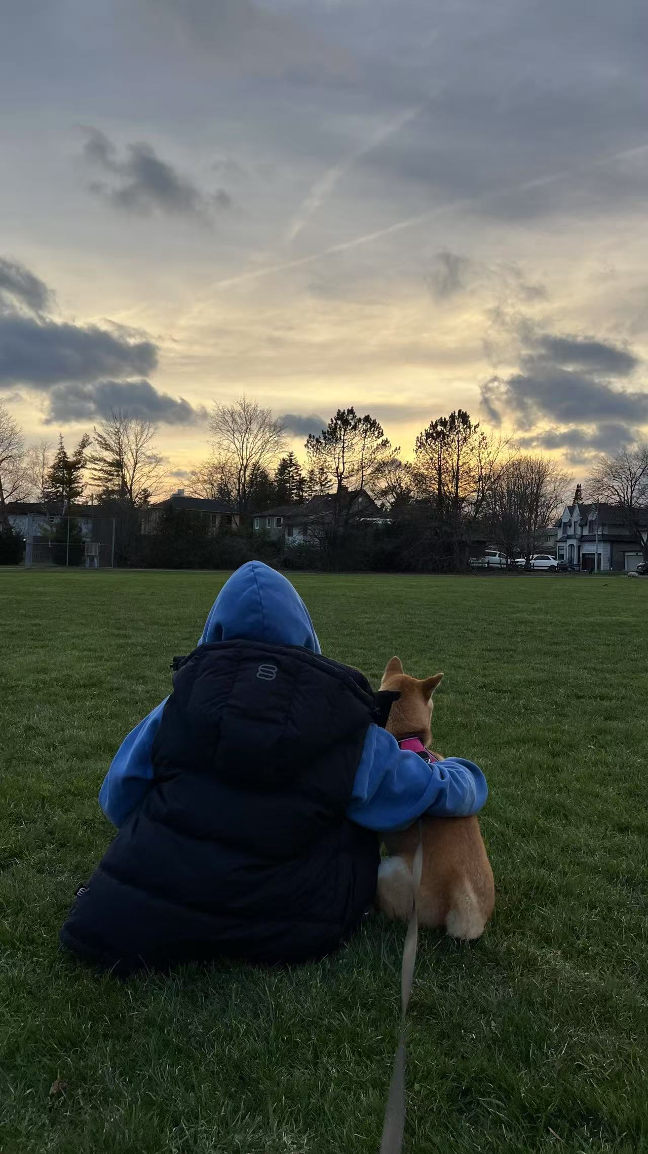 Mia sitting with her Shiba Inu in an open field at sunset, seen from behind
